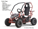 Elektro Buggy Go Kart GK004E 36 Volt 1000 Watt